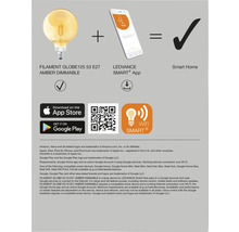 Filament Globe-lampa 125 53 E27 Amber dimbar plus LEDVANCE SMART+-app lika med Smart Home