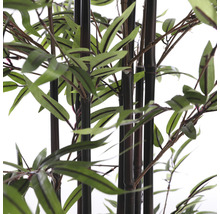 Konstväxt MICA Bambu 180cm i kruka-thumb-4