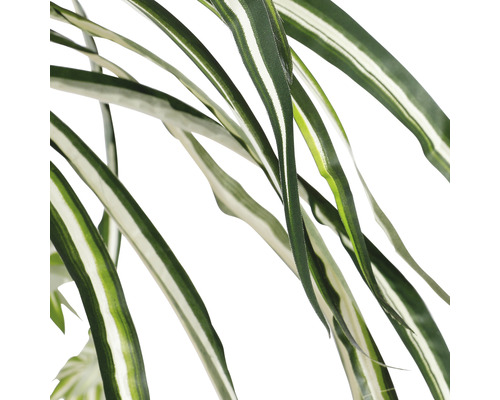 Detaljbild av konstgjorda ampelliljeblad