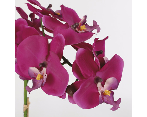 Konstgjord orkidé med blommor