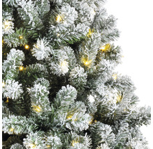 Närbild av en snötäckt julgran med ljus.