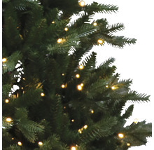 Närbild av en grön julgran med belysning.