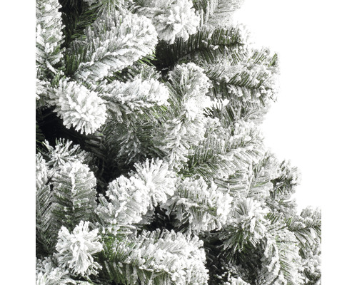 Närbild av en snöig julgran.