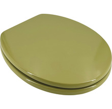 Toalettsits av plast