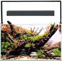 Akvarium AQUAEL UltraScape 60 LED-belysning ca 64L OPTI-glas forest