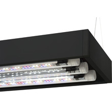 Akvarium AQUAEL UltraScape 60 LED-belysning ca 64L OPTI-glas forest