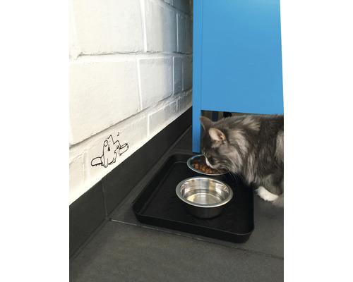 Katt äter bredvid en vattenskål på ett underlag.