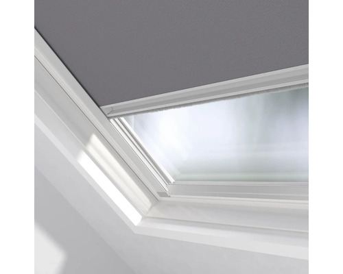 Takfönster med rullgardin