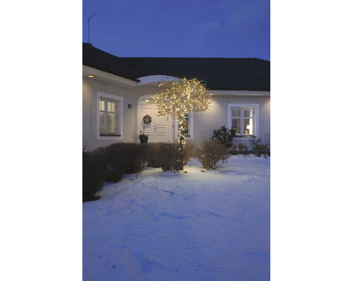 Belyst träd framför ett bostadshus i vinterträdgården.