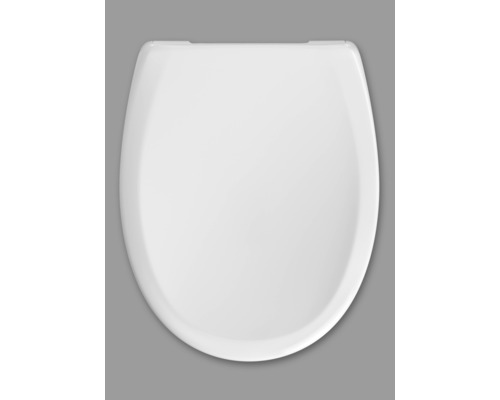 Toalettsits av sanitetskeramik, ovanifrån