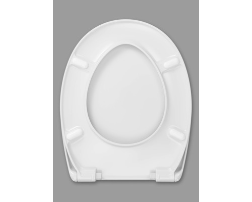 Toalettsits av plast