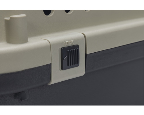 Detaljvy av låset på en transportbur för husdjur med inskriptionen ''Lock''.