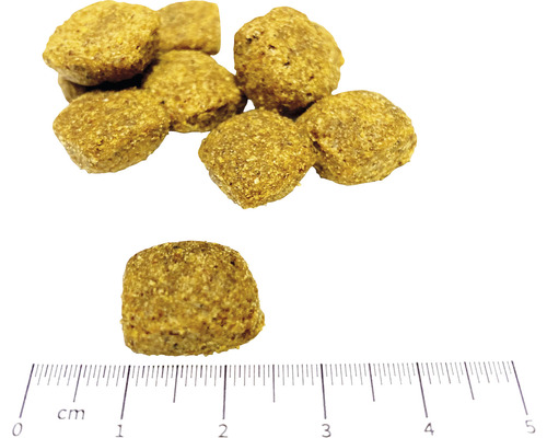 Hundmatsbitar med linjal för storleksindikation