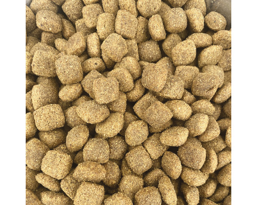 Närbild av torrfoder för djur