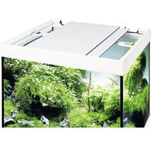 Akvarium med möbel EHEIM Vivaline126 LED ekgrå