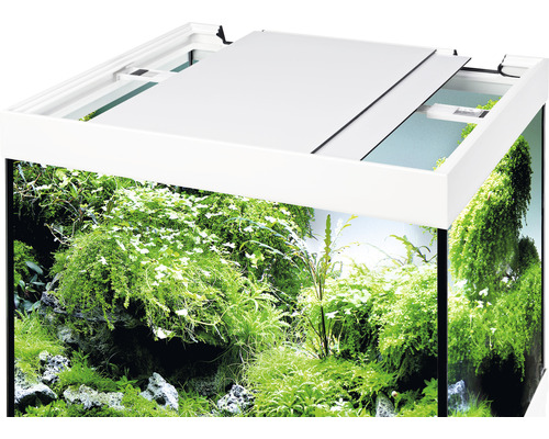 Akvarium med lock och frodig växtlighet