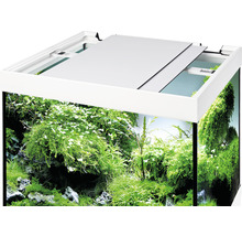 Akvarium med möbel EHEIM Vivaline 150 LED-belysning, värmare, filter pinie