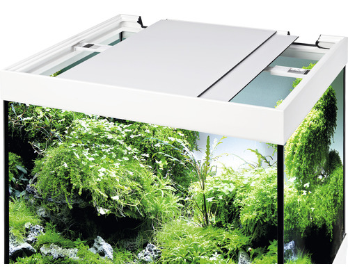 Akvarium med lock och växter
