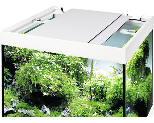 Akvarium med växter och lock