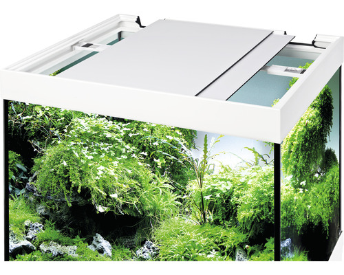 Akvarium med växter och delvis öppet lock