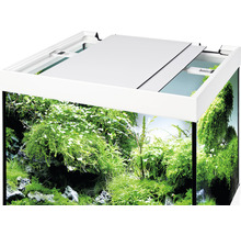 Akvarium med möbel EHEIM Vivaline 150 LED-belysning, värmare, filter pinie