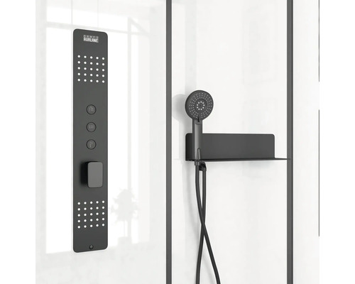 Duschpanel med handdusch i badrum