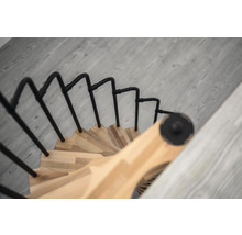 Spiraltrappa med trätrappsteg och metallräcke