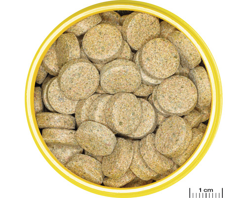 Tablettform fiskmatburk uppifrån