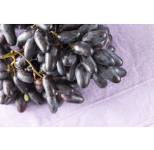 Druvor av sorten ''Sweet Sapphire'' på lila bakgrund