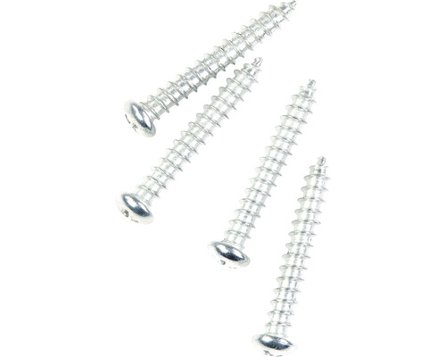 Fyra linshuvudskruvar av metall