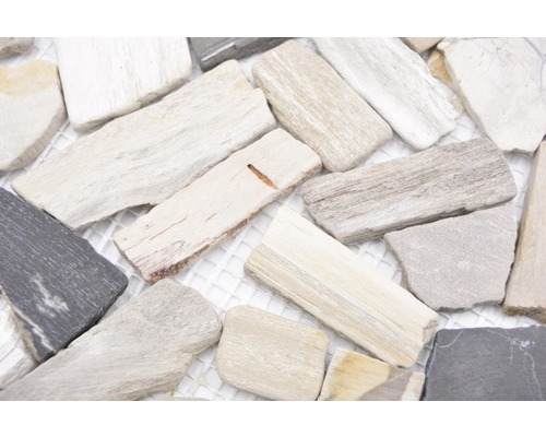 Fossil-trämosaikplattor på ett bärnät