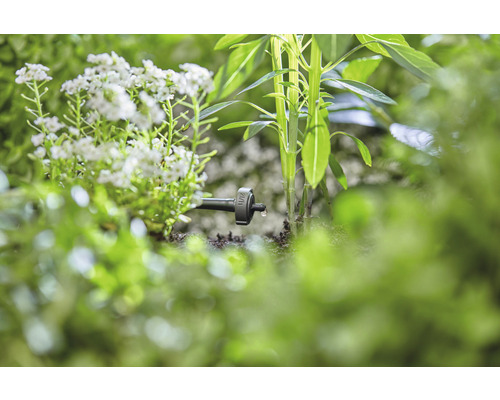 Droppbevattning i trädgården med växter