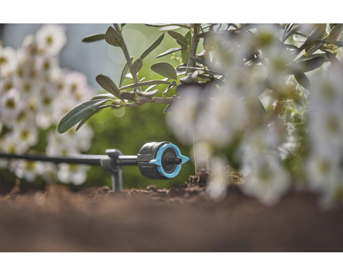 Droppbevattning i trädgården för bevattning av växter