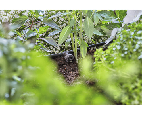 Droppbevattningssystem i bruk mellan växter och jord