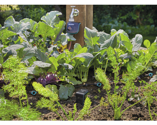 Grönsaksträdgård med bevattningssystem och elektronisk styrning på vattenkranen