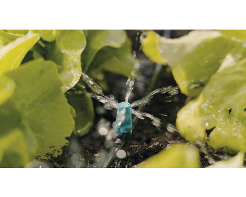 Bevattningssystem med sprinkler i bruk mellan salladsplantor