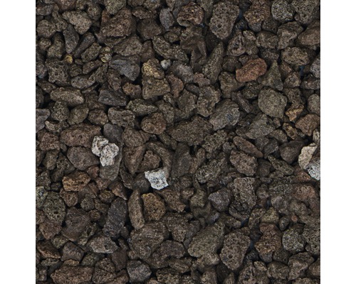 Närbild av lavatäckning för trädgården