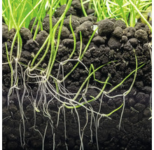 Bottengrund DENNERLE PLANTS Soil 2-3mm ca 9kg svart-thumb-3