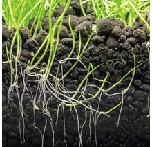 Bottengrund DENNERLE PLANTS Soil 2-3mm ca 3kg svart