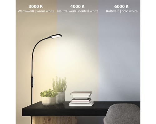 Bordslampa med olika färgtemperaturer: varmvitt ljus 3000 K, neutralvitt ljus 4000 K och kallvitt ljus 6000 K.