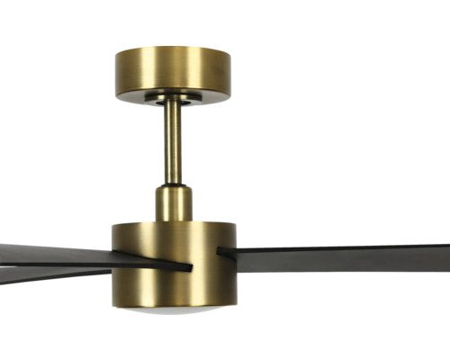 Takfläkt med lampa och blad