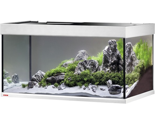 Dekorativt akvarium med stenar och växter