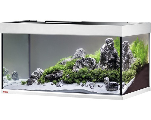 Inrett akvarium med stenar och växter