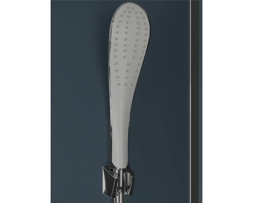 Handdusch med hållare