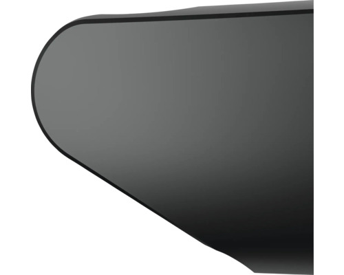 Detaljvy av ett svart blad