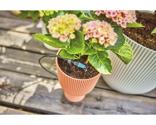 Blomkruka med bevattningssystem och blommande växt på träunderlag