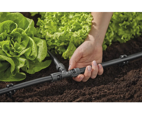 Närbild av en kvinna som installerar ett bevattningssystem för sallad i trädgården