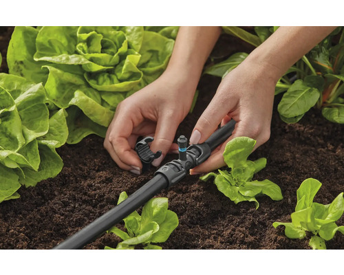 Installation av droppbevattning i trädgårdslandet för riktad bevattning av växter