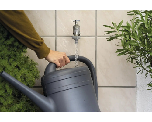 En vattenkanna fylls med vatten från en kran, med växter bredvid.