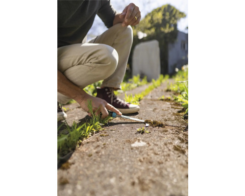 En person tar bort ogräs från en stenlagd gång med ett verktyg för att ta bort ogräs.